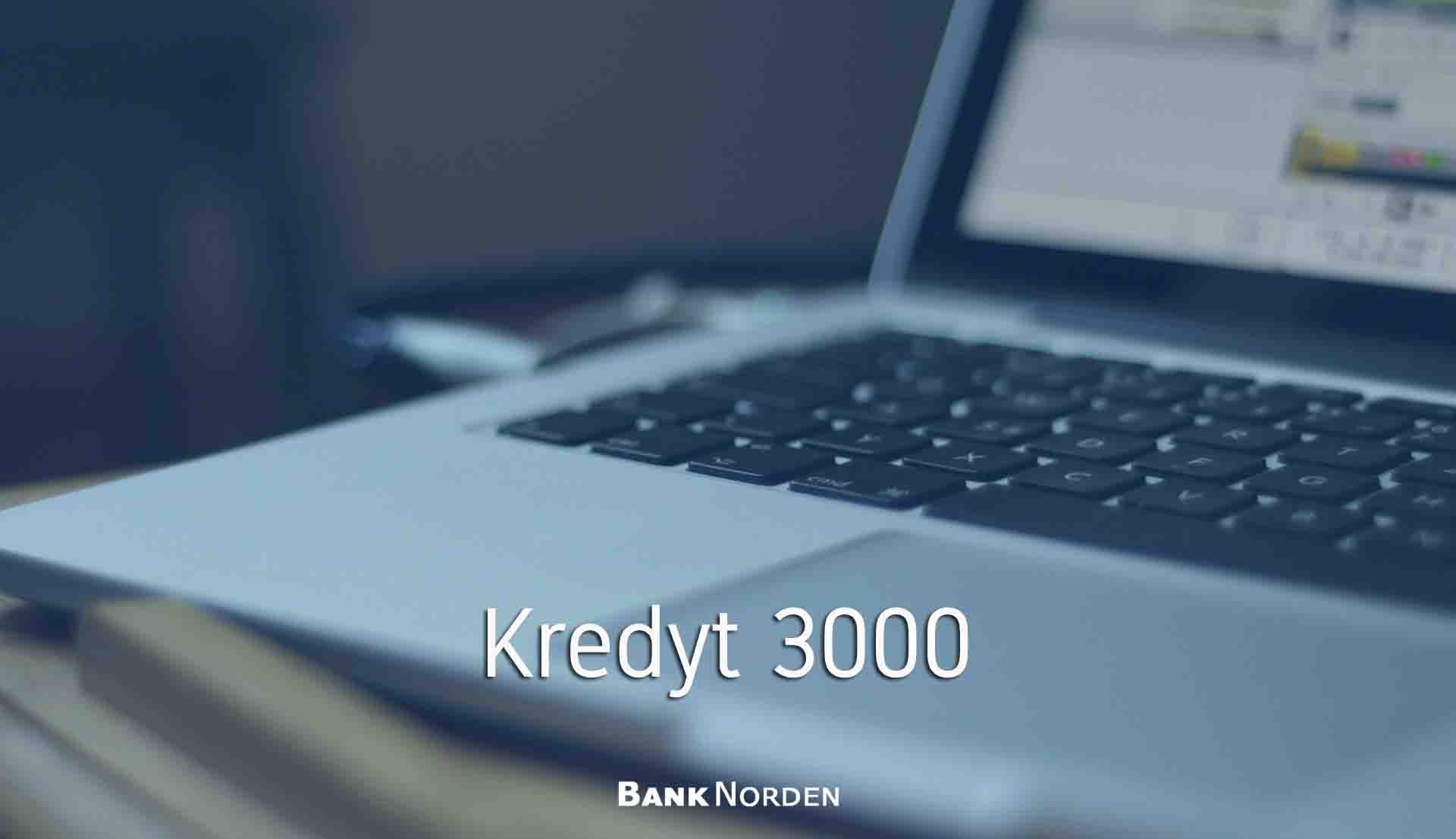 Kredyt 3000